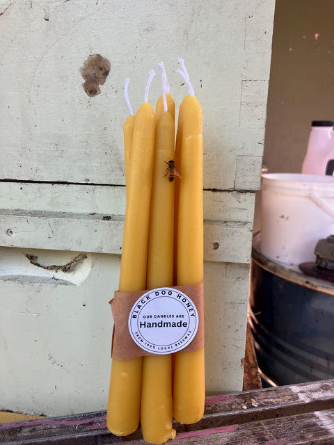 Beeswax candles - Black Dog Honey
