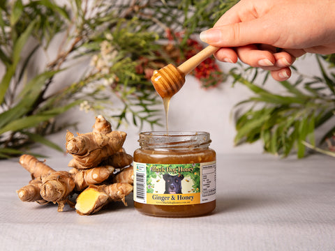 Ginger infused Honey - Black Dog Honey