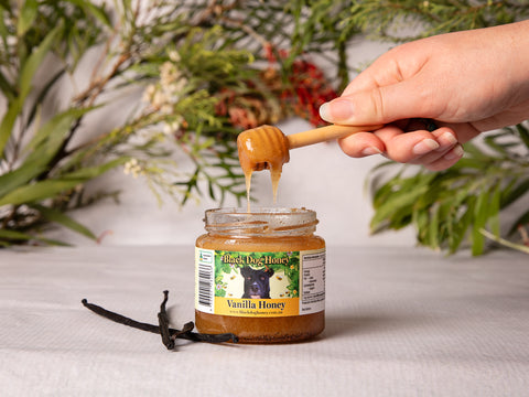 Vanilla infused honey - Black Dog Honey