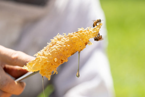 The Benefits of RAW Honey