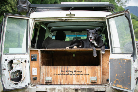 Beeswax - Black Dog Honey