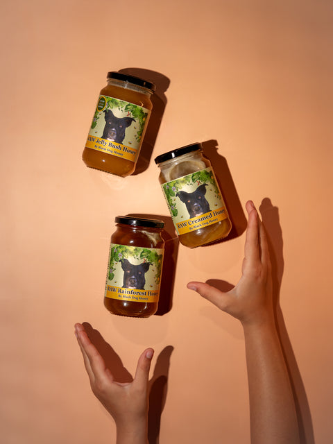 Vanilla infused honey - Black Dog Honey