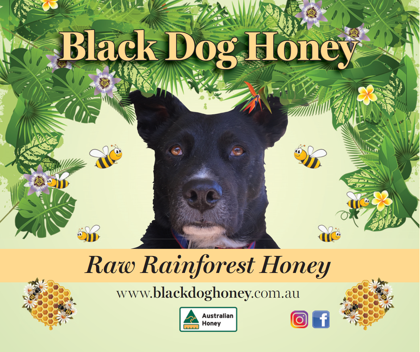 Black Dog Honey